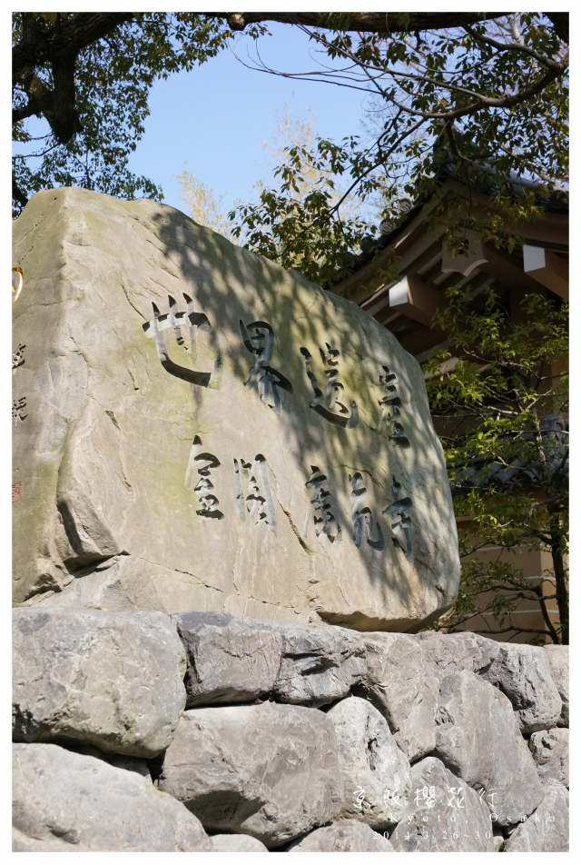 NEX-5R 京阪櫻花自由行 照片分享~