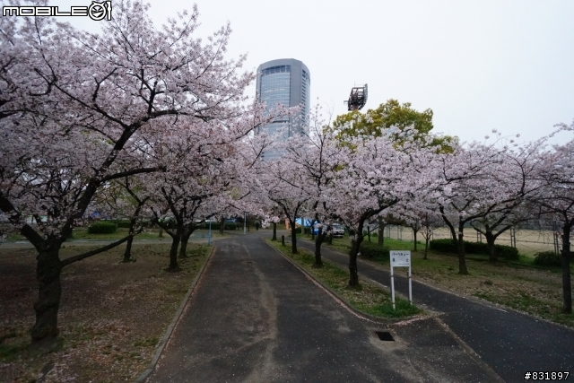 2014/04/03~06 京奈阪自由行 DAY3-4 (圖多, 甚入)
