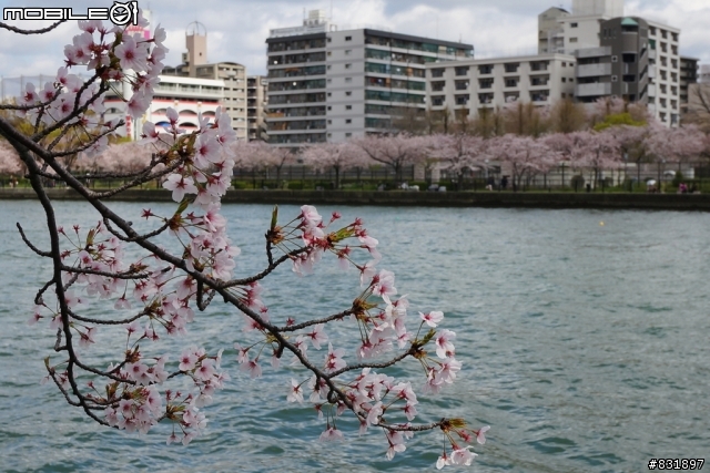 2014/04/03~06 京奈阪自由行 DAY3-4 (圖多, 甚入)