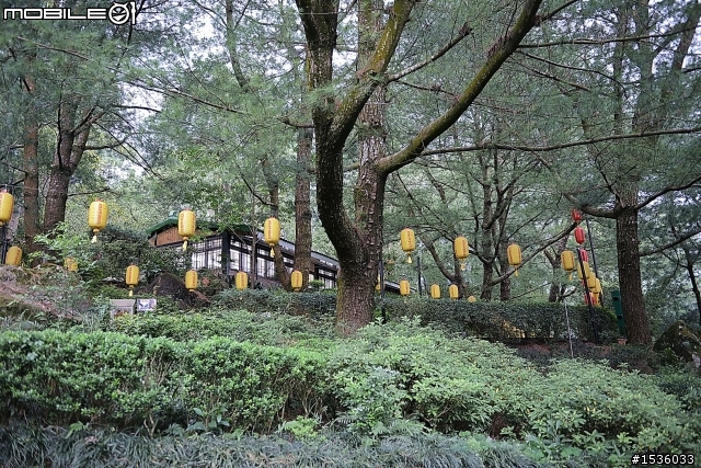 南投縣國姓鄉仙佛寺