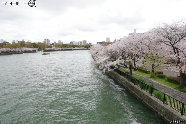 2014/04/03~06 京奈阪自由行 DAY3-4 (圖多, 甚入)