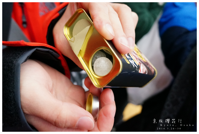 NEX-5R 京阪櫻花自由行 照片分享~
