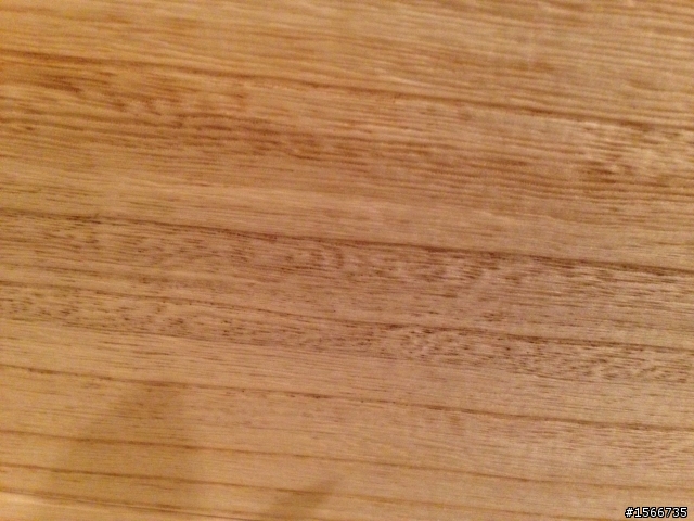 梧桐木請益