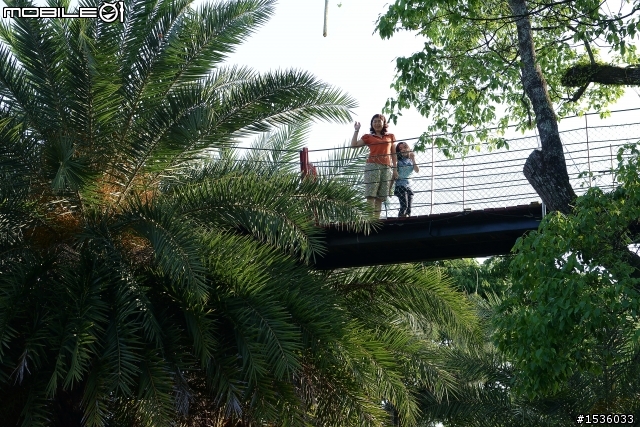 北港溪沙八溫泉渡假村(實錄300公尺天空步道影像)