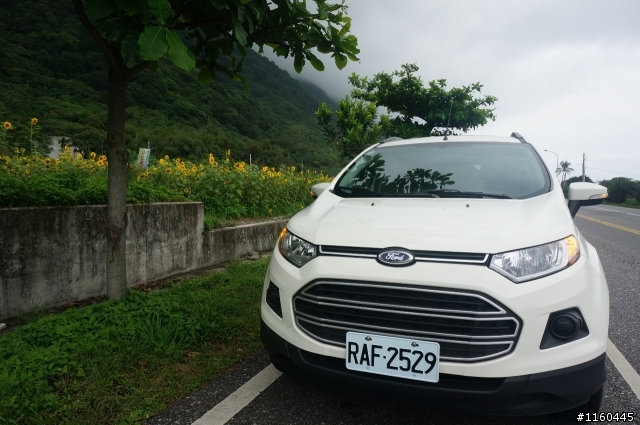 FORD ECOSPORT 談甜心開團去的活動