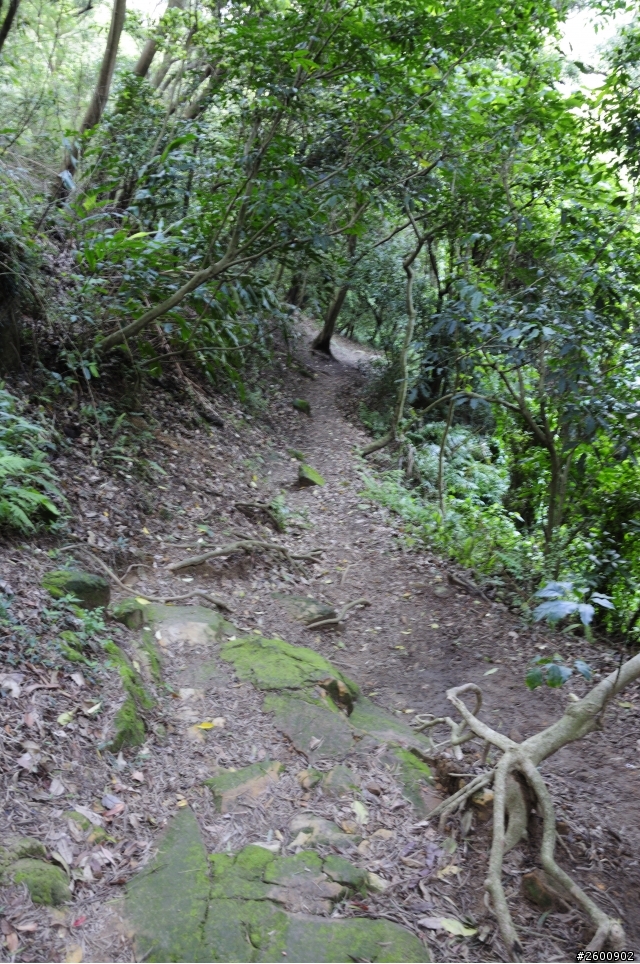 金面山