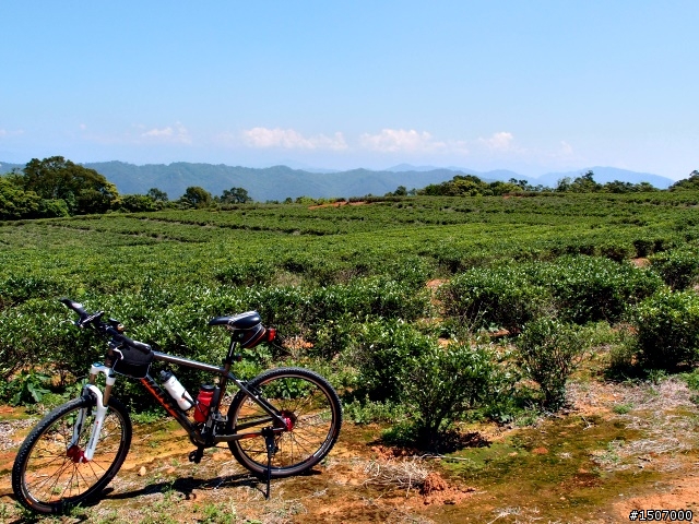 銅鑼‧天空之橋