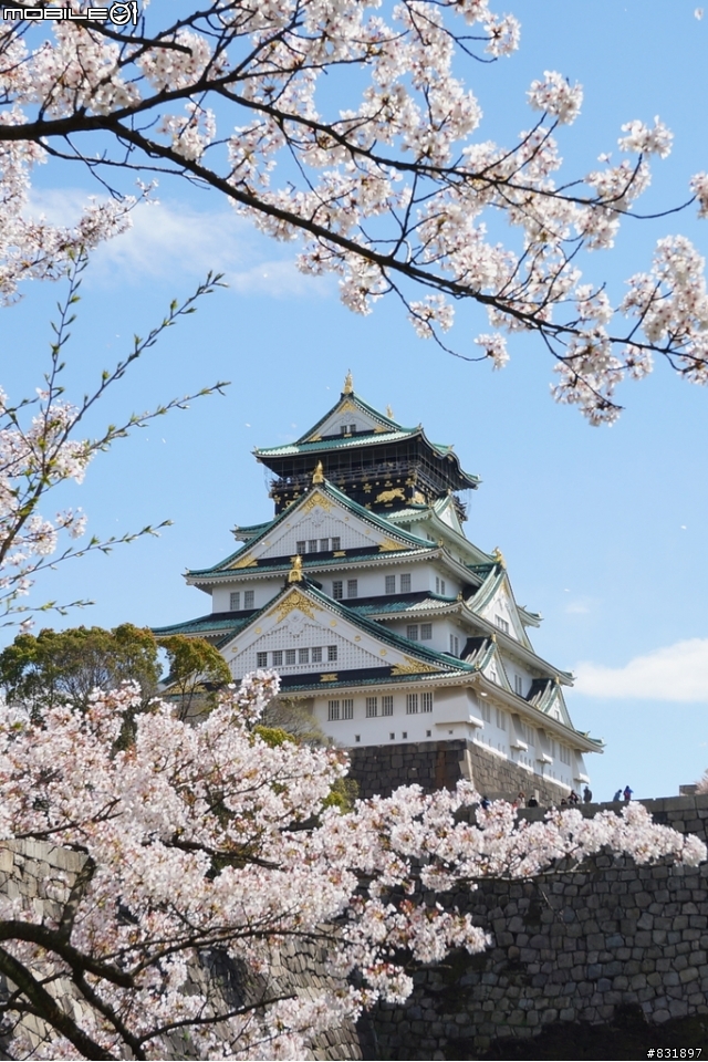 2014/04/03~06 京奈阪自由行 DAY3-4 (圖多, 甚入)