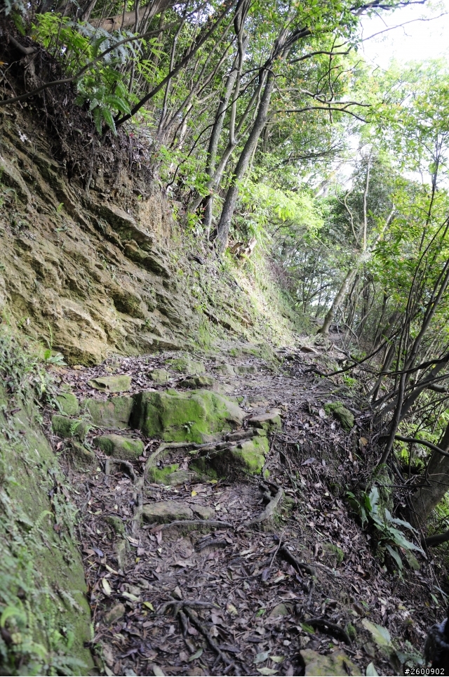 金面山