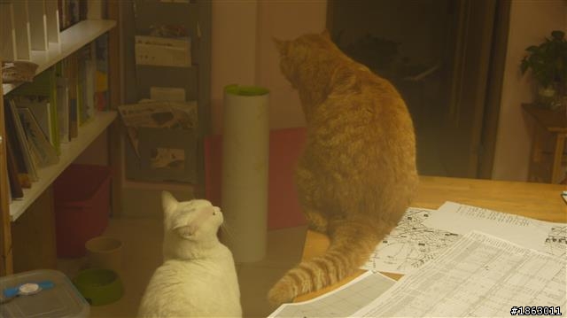 2014/04/02~04/10 退伍環島冒險去之背包客小旅行
