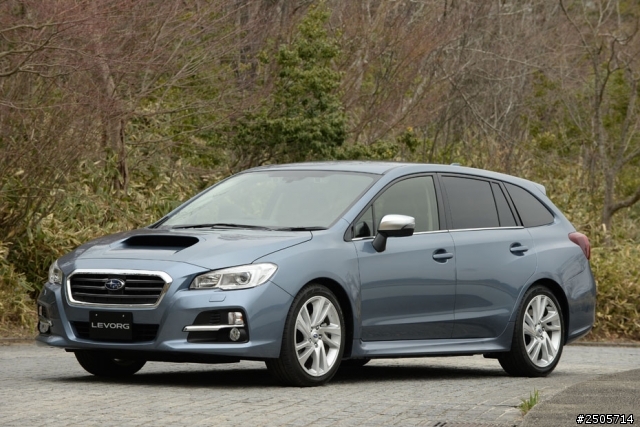 Levorg 全身健康檢查