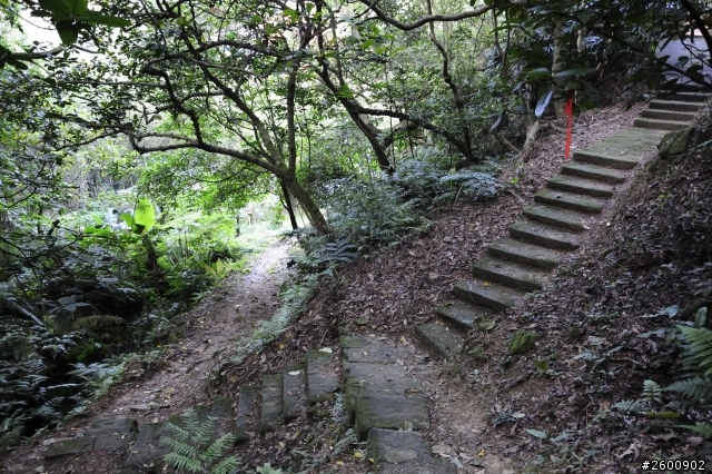金面山