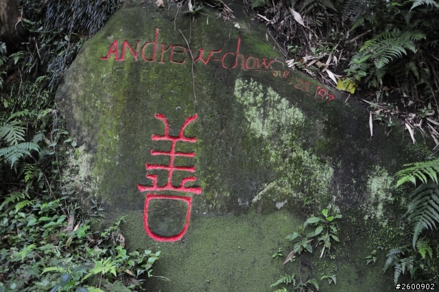 金面山