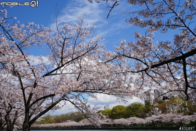 2014/04/03~06 京奈阪自由行 DAY3-4 (圖多, 甚入)