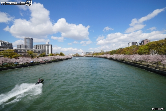 2014/04/03~06 京奈阪自由行 DAY3-4 (圖多, 甚入)