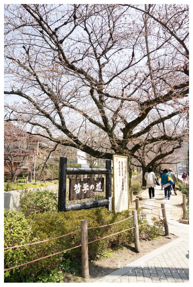 NEX-5R 京阪櫻花自由行 照片分享~