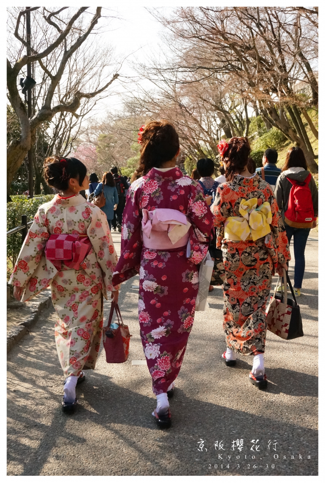 NEX-5R 京阪櫻花自由行 照片分享~