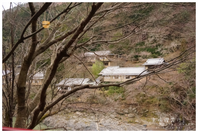 NEX-5R 京阪櫻花自由行 照片分享~
