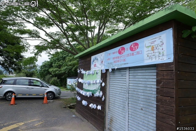 台東鹿野龍田村：龍田桐花大道