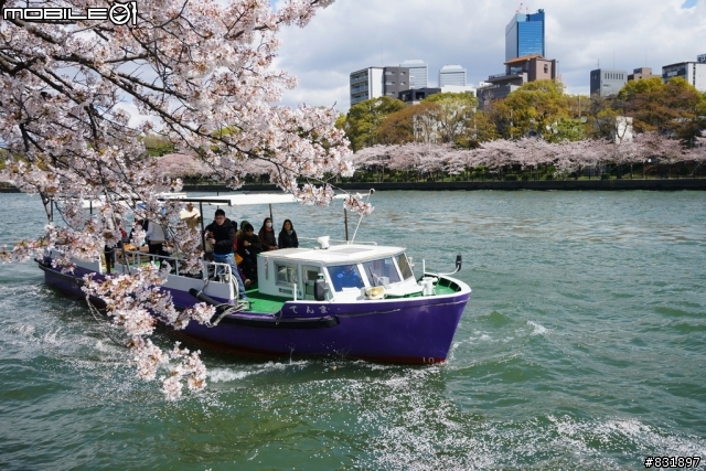 2014/04/03~06 京奈阪自由行 DAY3-4 (圖多, 甚入)