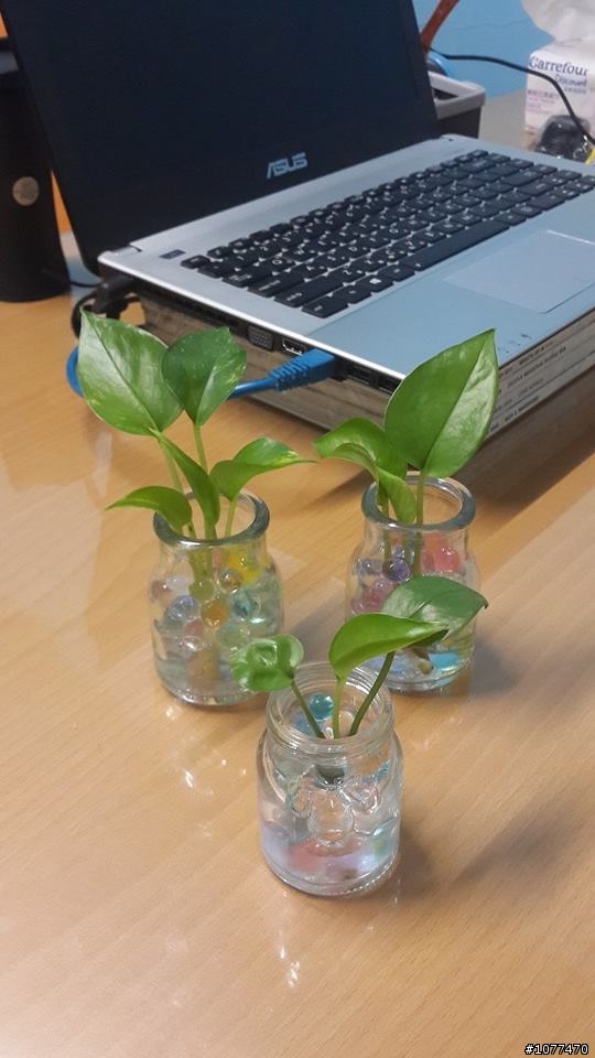 更新於12/17邁向第12年)預算不足夫妻同心油漆&整修17坪的起家厝點滴..