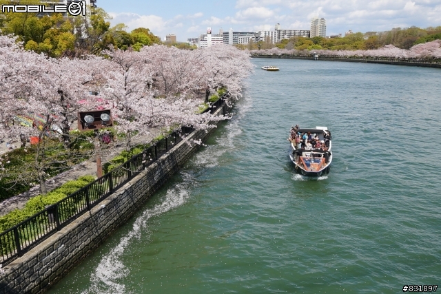 2014/04/03~06 京奈阪自由行 DAY3-4 (圖多, 甚入)