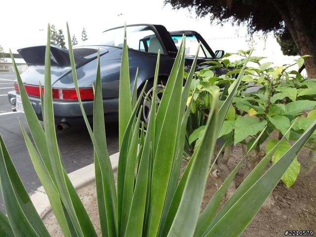 不專業亂拍  經典９１１Targa