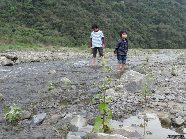 親子旅遊-大武達仁三日遊(1)