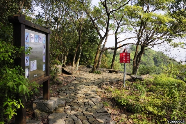 金面山