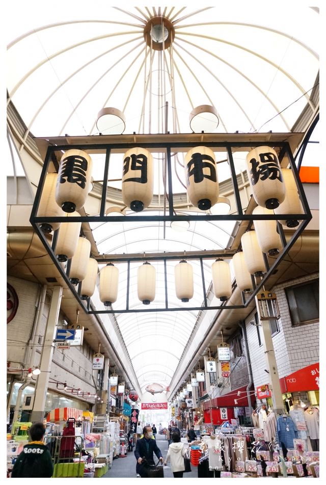 NEX-5R 京阪櫻花自由行 照片分享~