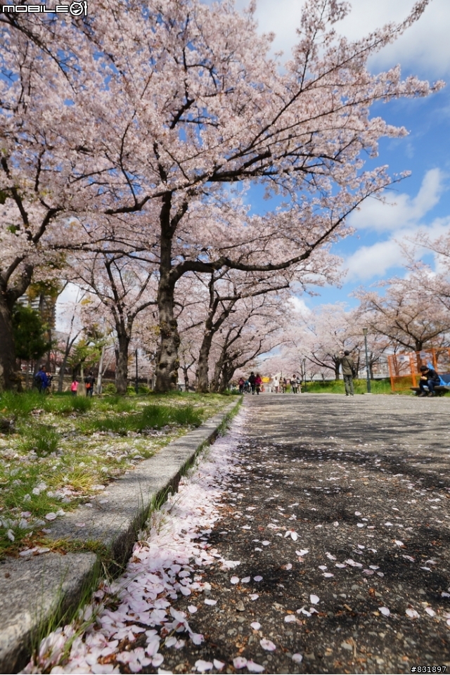 2014/04/03~06 京奈阪自由行 DAY3-4 (圖多, 甚入)