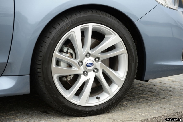 Levorg 全身健康檢查