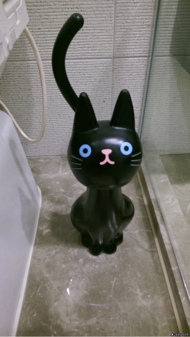 【新屋開箱】兩人三貓的溫馨宅