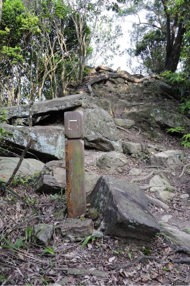 金面山