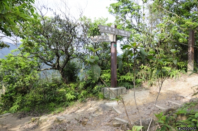 金面山