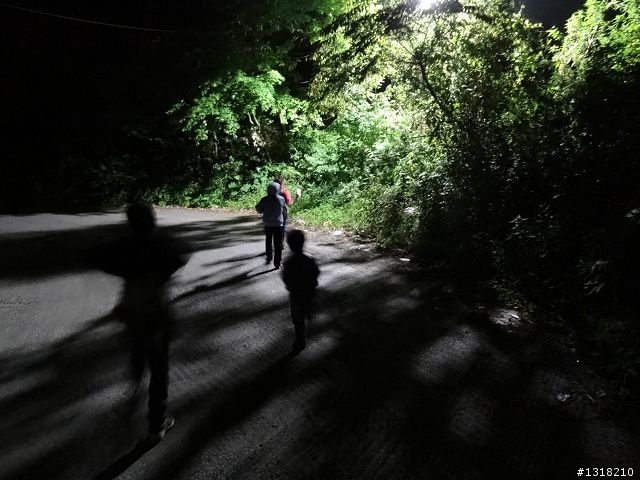 親子旅遊-投85線之旅