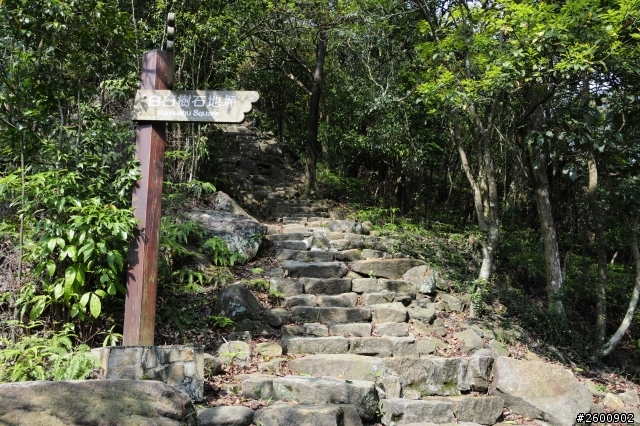 金面山