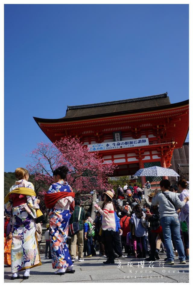 NEX-5R 京阪櫻花自由行 照片分享~