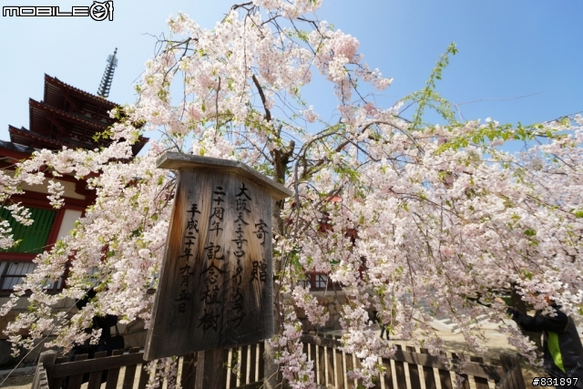 2014/04/03~06 京奈阪自由行 DAY3-4 (圖多, 甚入)
