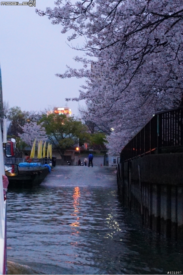 2014/04/03~06 京奈阪自由行 DAY3-4 (圖多, 甚入)