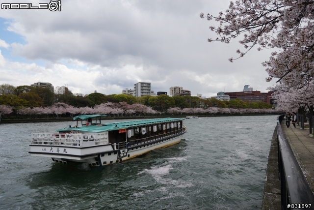 2014/04/03~06 京奈阪自由行 DAY3-4 (圖多, 甚入)