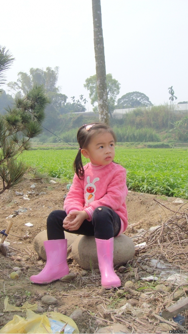 取之於01分享於01 XC60  豪華版閃電銀