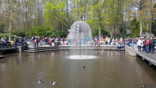 2014 荷蘭 霍肯霍夫花園