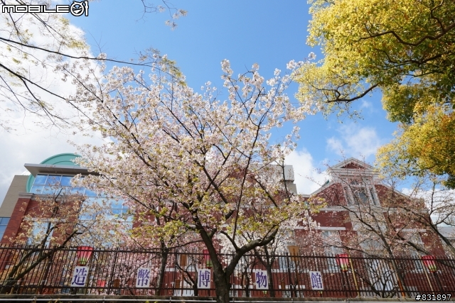 2014/04/03~06 京奈阪自由行 DAY3-4 (圖多, 甚入)