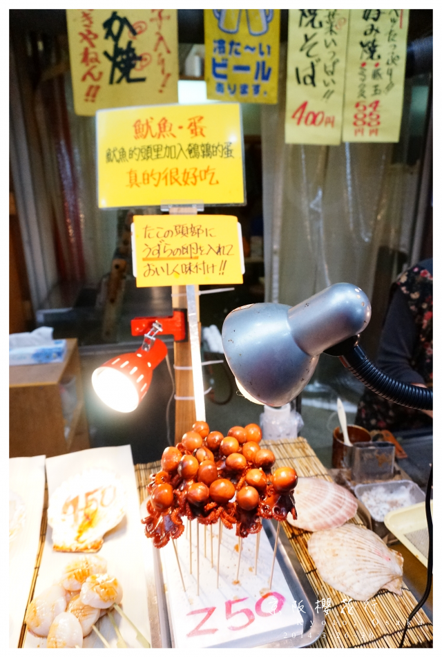NEX-5R 京阪櫻花自由行 照片分享~