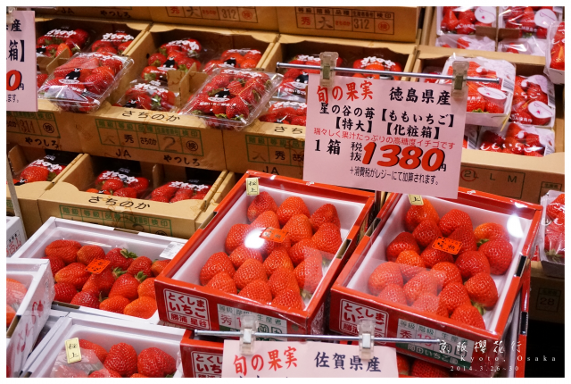 NEX-5R 京阪櫻花自由行 照片分享~