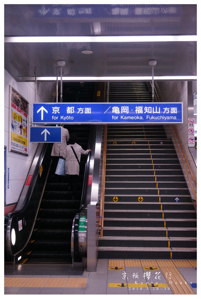 NEX-5R 京阪櫻花自由行 照片分享~