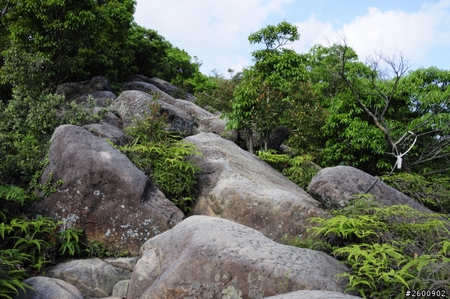 金面山