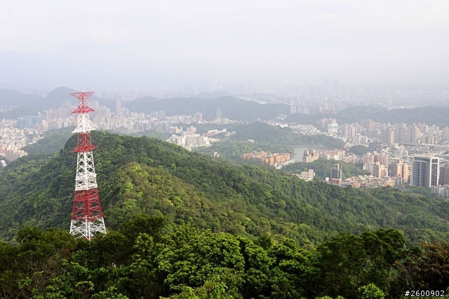 金面山