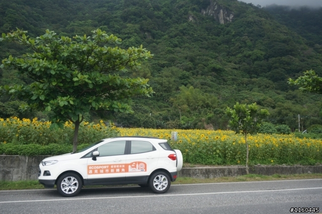 FORD ECOSPORT 談甜心開團去的活動